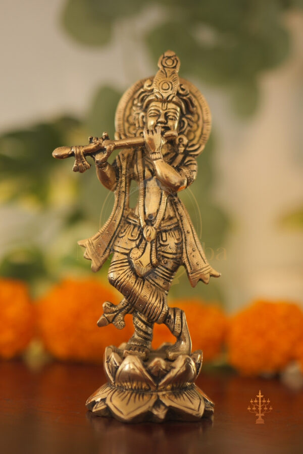Padma Peedam Murali Krishna Idol